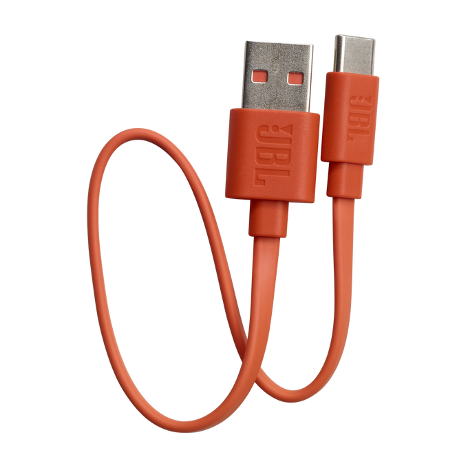 JBL Live Flex - Silver - True wireless Noise Cancelling earbuds - Detailshot 10 image number null
